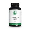 GREEN NATURALS Coenzym Q10 250 mg vegan hochdos. - 180Stk - Gedächtnis & Konzentration