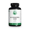 GREEN NATURALS Bockshornklee 2600 mg+Saponine Kps. - 240Stk