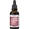 GRAPEFRUITKERNEXTRAKT Tropfen hochdosiert - 50ml