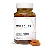 MOLEQLAR Curcusome Curcurmin Complex Kapseln - 60Stk