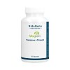 MAGTEIN Magnesium L-Threonat 2003 mg vegan Kapseln - 90Stk - Gedächtnis & Konzentration