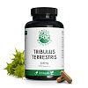GREEN NATURALS Tribulus Terrestris 2250 mg veg.Kps - 120Stk - Vegan