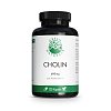 GREEN NATURALS Cholin 600mg hochdosiert vegan Kps. - 120Stk - Gedächtnis & Konzentration