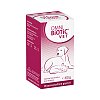 OMNI BiOTiC VET Erg.Futterm.Pulver f.Hunde/Katzen - 60g - Magen & Darm