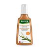 RAUSCH Feuchtigkeits-Shampoo mit Weizenkeim - 200ml - Trockenes & strapaziertes Haar