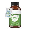 Braune Dose mit schwarzem Schraubverschluss. Grün-weißes Etikett mit Aufschrift: „R(h)ein Nutrition Omega-3 Algenöl