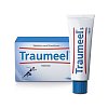 TRAUMEEL S TABLETTEN 50ST + CREME 100G -     SETStk