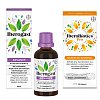 IBEROGAST Advance 50ml + IBEROBIOTICS Pro 30St - 1Set - Darmflora