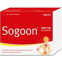 SOGOON 480 mg Filmtabletten - 100Stk