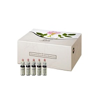 BACHBLÜTEN 10 ml Set Tropfen - 400ml - Geschenke für Sie