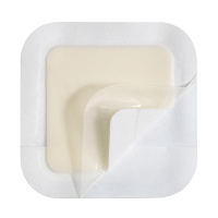 ASKINA Transorbent Border 9x14 cm - 5Stk