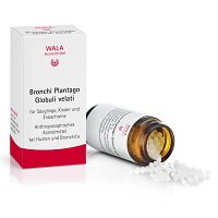 BRONCHI PLANTAGO Globuli velati (20 g) - medikamente-per-klick.de