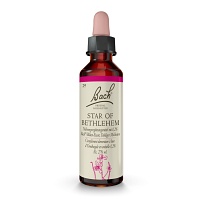 BACHBLÜTEN Star of Bethlehem Tropfen - 20ml - Bachblüten-Orginal®