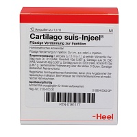 CARTILAGO suis Injeel Ampullen - 10Stk