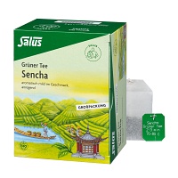 GRÜNER TEE Bio Salus Filterbeutel Großpackung - 40Stk