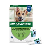 ADVANTAGE 400 Lösung Pipetten f.Hunde ab 25 kg - 1X4Stk - advantage