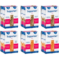 SUPPORTAN DRINK Mischkarton Trinkflasche - 24X200ml