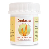 CORDYCEPS SINENSIS Kapseln - 100Stk