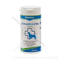 SCHLANK UND VITAL Pulver vet. - 250g - Magen & Darm