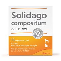 SOLIDAGO COMPOSITUM ad us.vet.Ampullen - 10Stk - Homöopathie