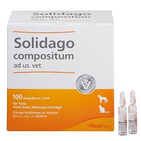 SOLIDAGO COMPOSITUM ad us.vet.Ampullen - 100Stk - Homöopathie