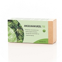 ANGELIKAWURZEL Tee Filterbeutel - 25Stk