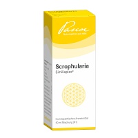 SCROPHULARIA SIMILIAPLEX Tropfen - 50ml - Pascoe