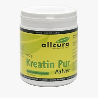 KREATIN PUR Pulver Premium Qualität - 500g