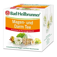 BAD HEILBRUNNER Magen- und Darm Tee Pyramidenbtl. - 15X2.5g