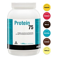 PROTEIN 75 Erdbeer Pulver - 1000g