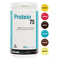 PROTEIN 75 Vanille Pulver - 500g