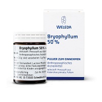 BRYOPHYLLUM 50% Pulver zum Einnehmen - 50g