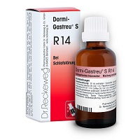 DORMI-GASTREU S R14 Mischung - 22ml - Stress & Burnout