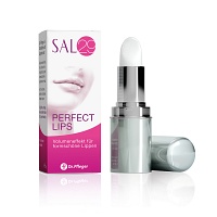 SAL 29 Perfect Lips - 4g