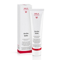 ARNIKA SALBE - 100g