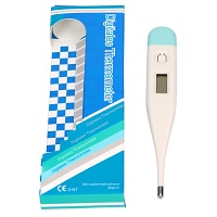 FIEBERTHERMOMETER digital - 1Stk