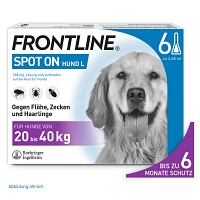 FRONTLINE Spot on H 40 Lösung f.Hunde - 6Stk - Tiergesundheit