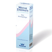 ZINKPASTE weich Lichtenstein - 100g