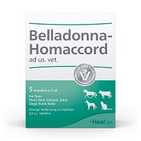BELLADONNA HOMACCORD ad us.vet.Ampullen - 5Stk - Homöopathie