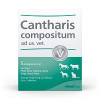 CANTHARIS COMPOSITUM ad us.vet.Ampullen - 5Stk - Homöopathie