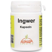 INGWER KAPSELN 300 mg - 60Stk