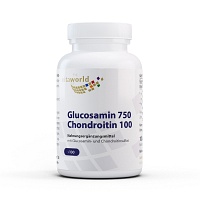 GLUCOSAMIN 750 mg+Chondroitin 100 mg Kapseln - 100Stk
