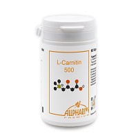 L-CARNITIN 500 mg Kapseln - 60Stk