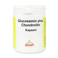 GLUCOSAMIN+CHONDROITIN Kapseln - 120Stk