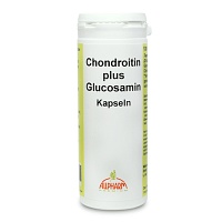 CHONDROITIN GLUCOSAMIN Kapseln - 120Stk