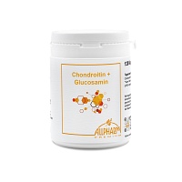 CHONDROITIN GLUCOSAMIN Kapseln - 120Stk