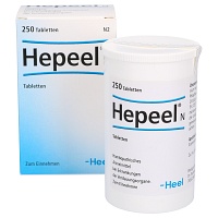 HEPEEL N Tabletten - 250Stk - Leber & Galle