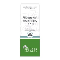 PFLÜGERPLEX Arum triph.147 H Tropfen - 50ml - Pflüger
