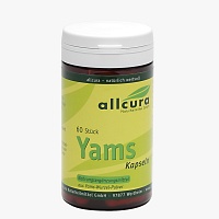 YAMS Kapseln 250 mg Yamspulver - 60Stk
