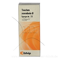 SYNERGON KOMPLEX 15 Teucrium Urtinktur - 50ml